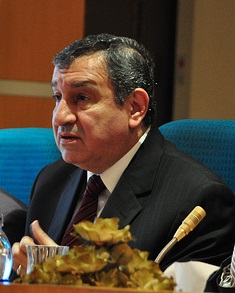 Mohamed El-Shayeb