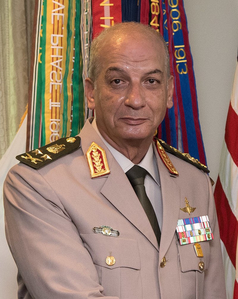 Mohamed Hamdy Zaki Ali