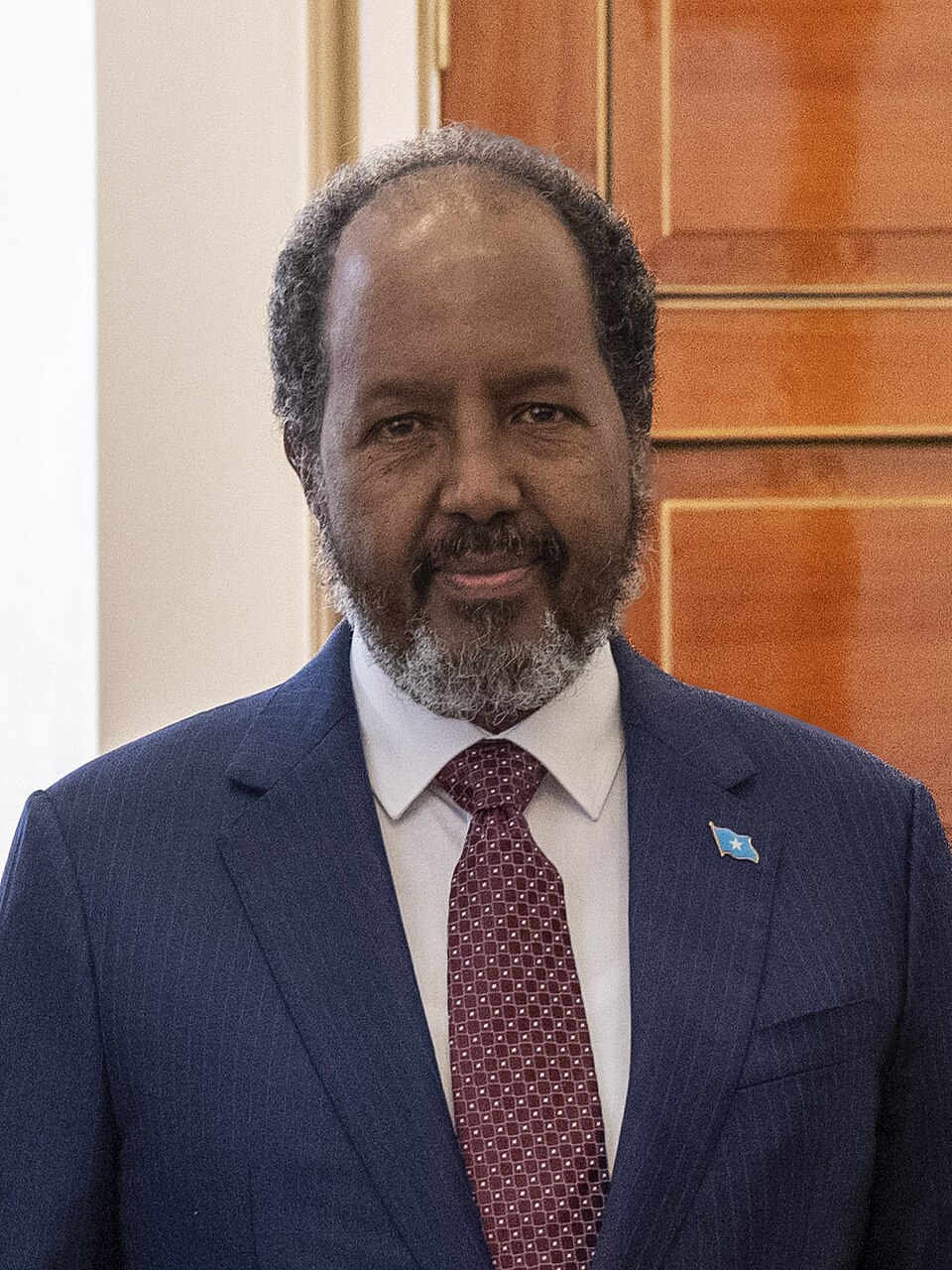 Mohamed Mohamud Ali