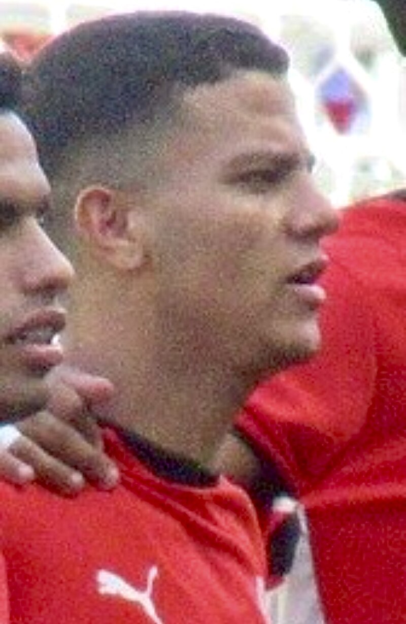 Mohamed Shehata