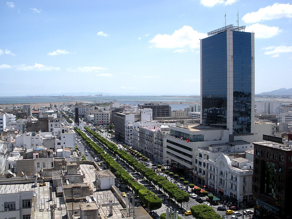 Mohamed Tarek Ibrahim Sidi Abdallah