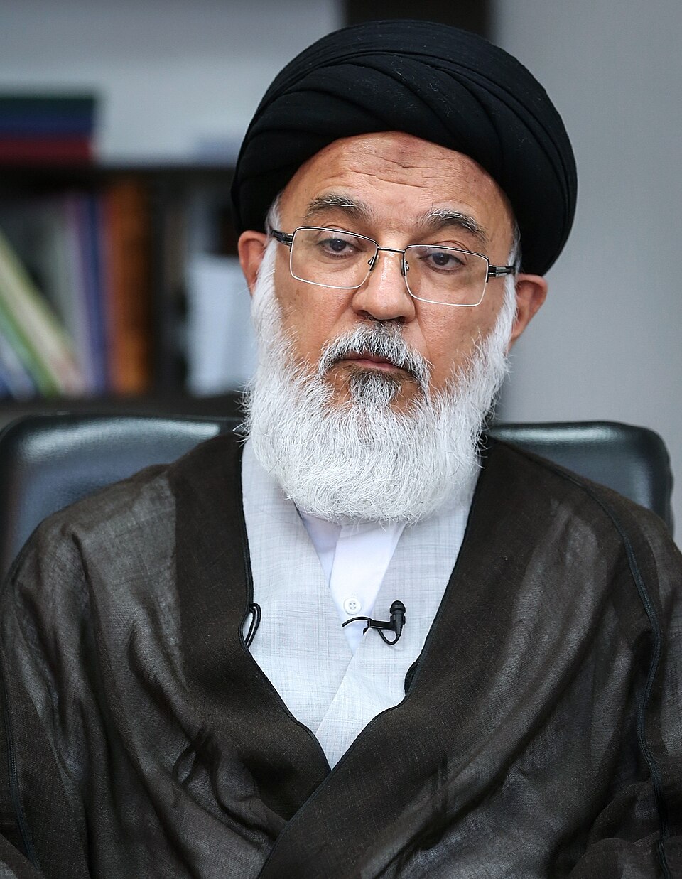 Mohammad Mahdi Mirbagheri