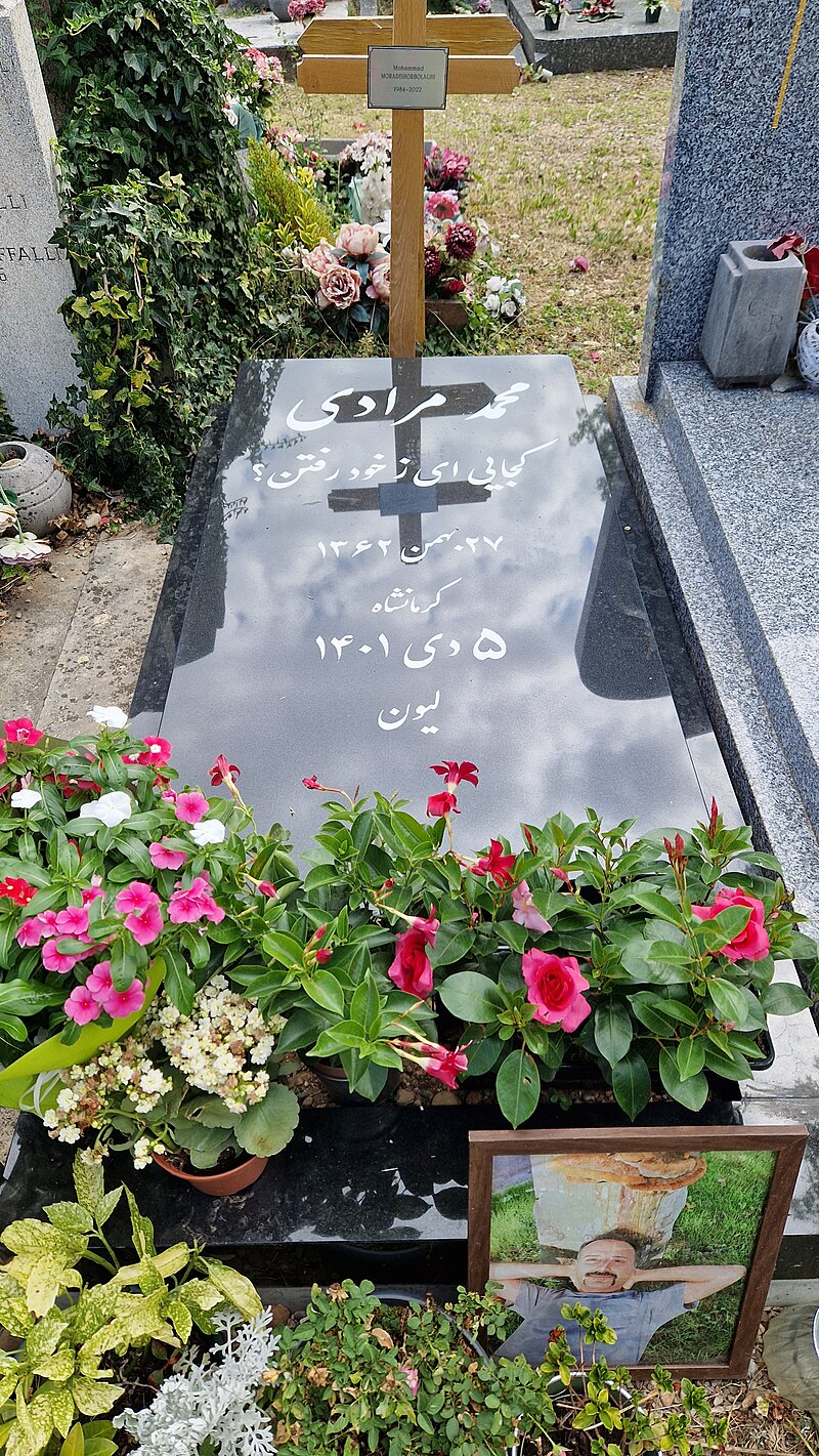Mohammad Moradi