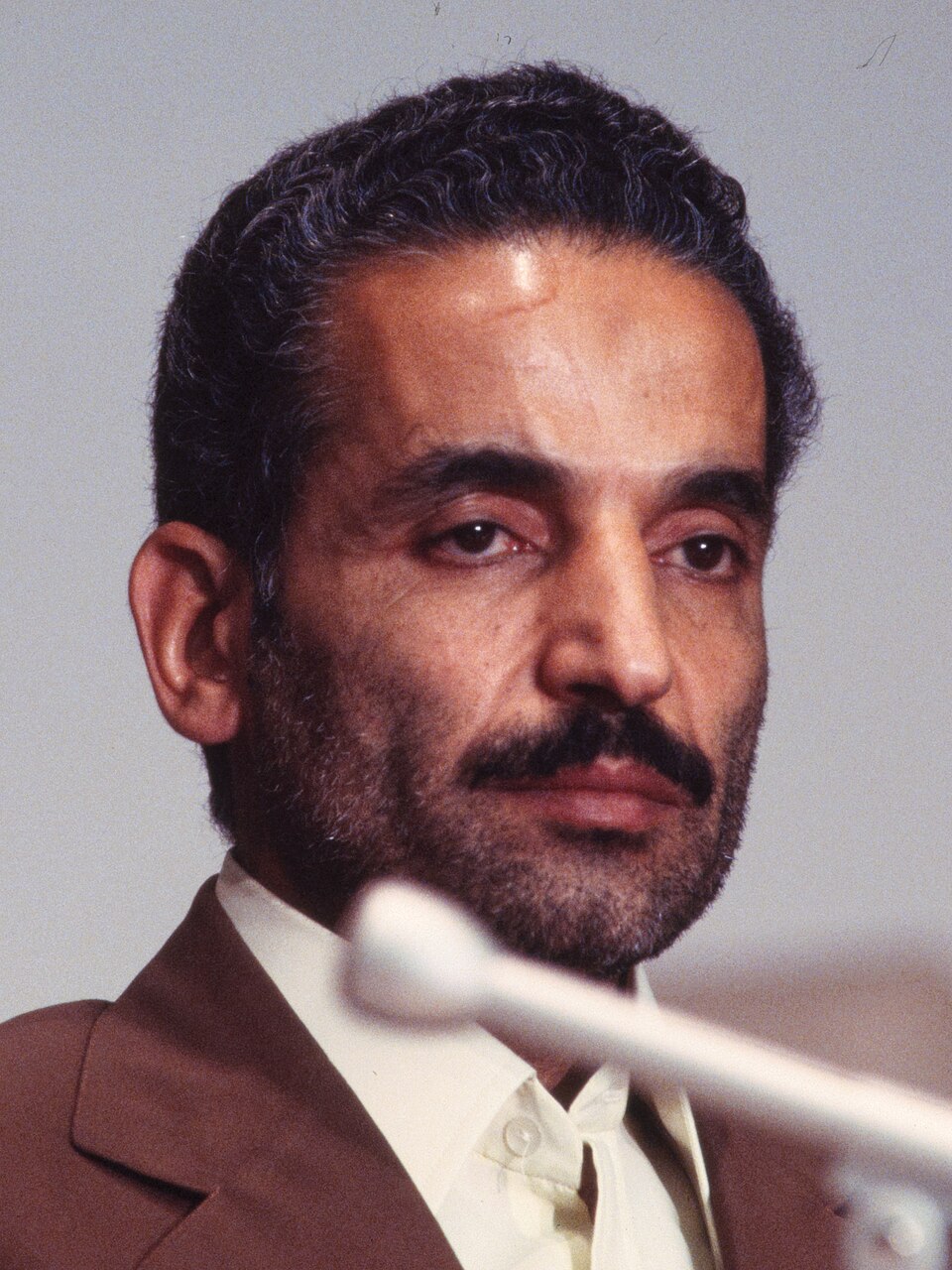 Mohammad Reza Rajai