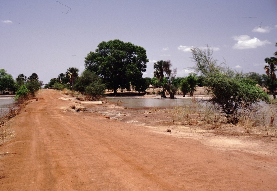Momodou Camara