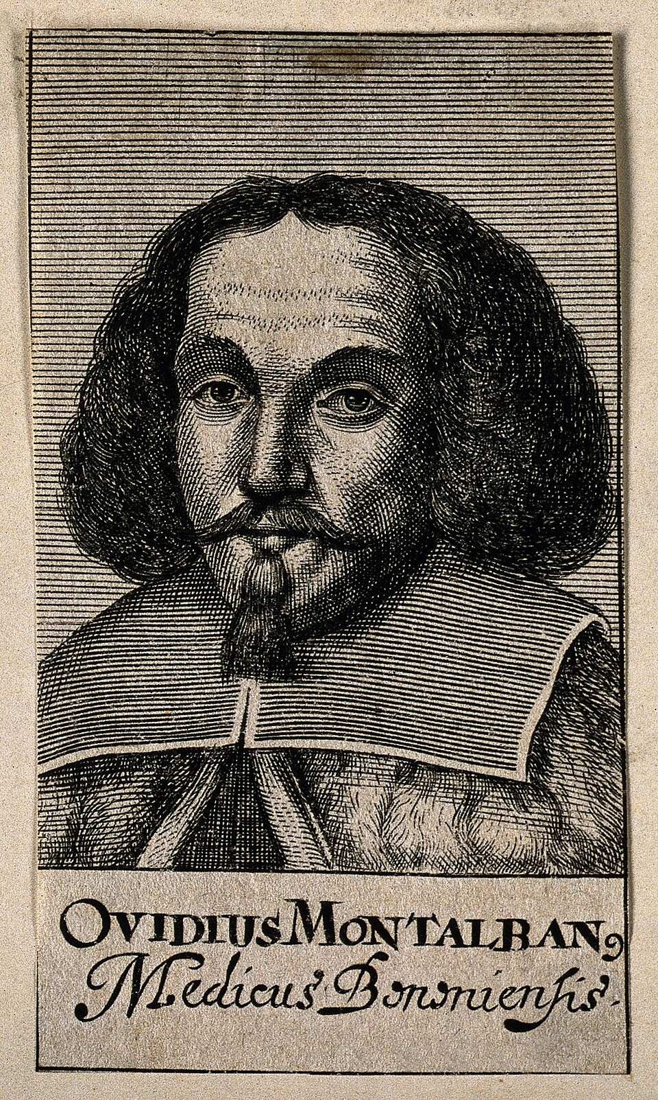 Montalbani