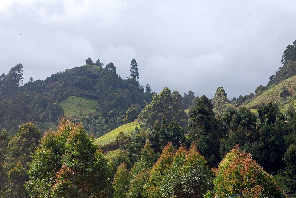 Moses Mwangi