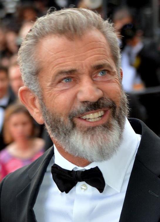 Mr Gibson