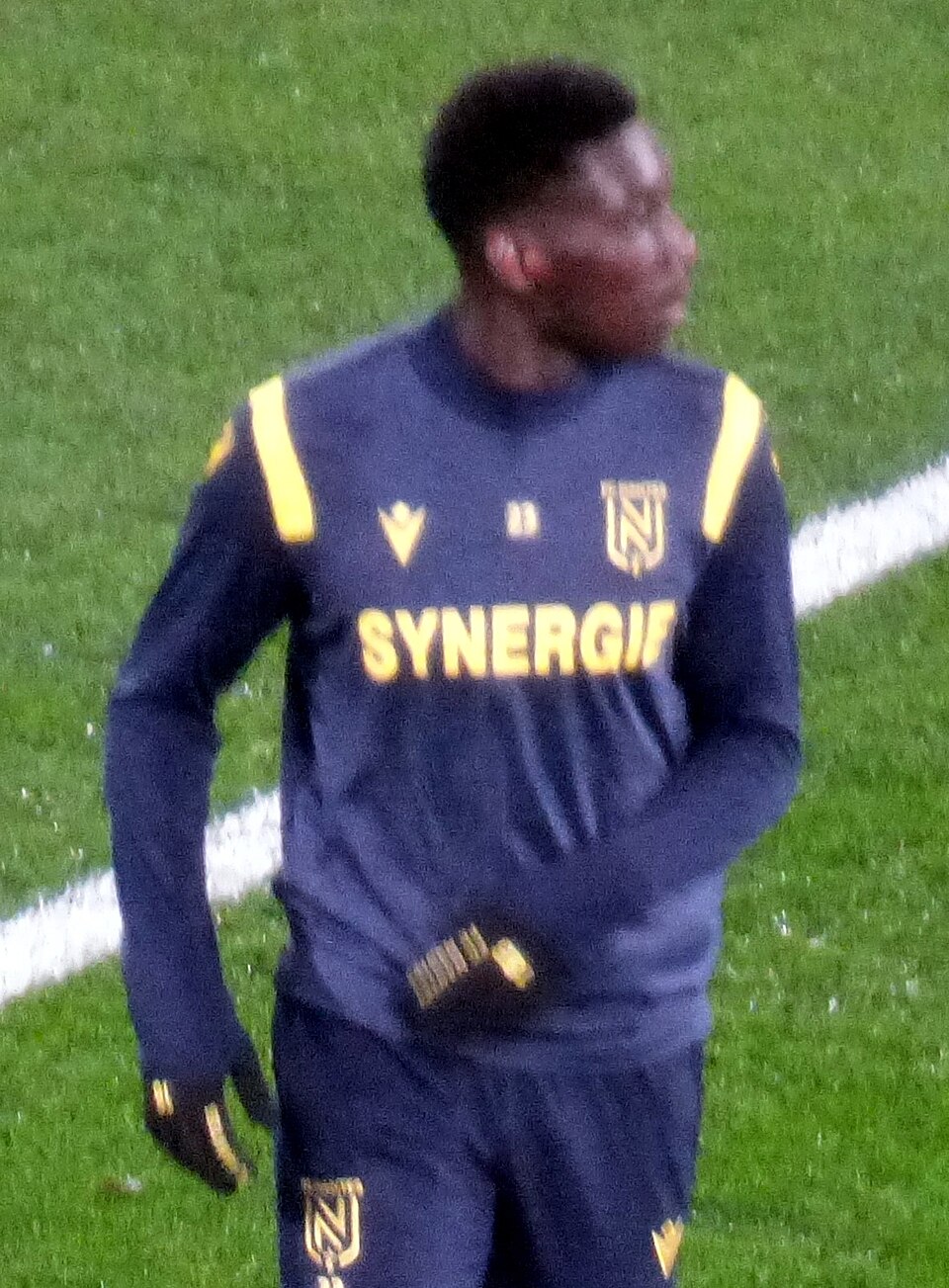 Muani