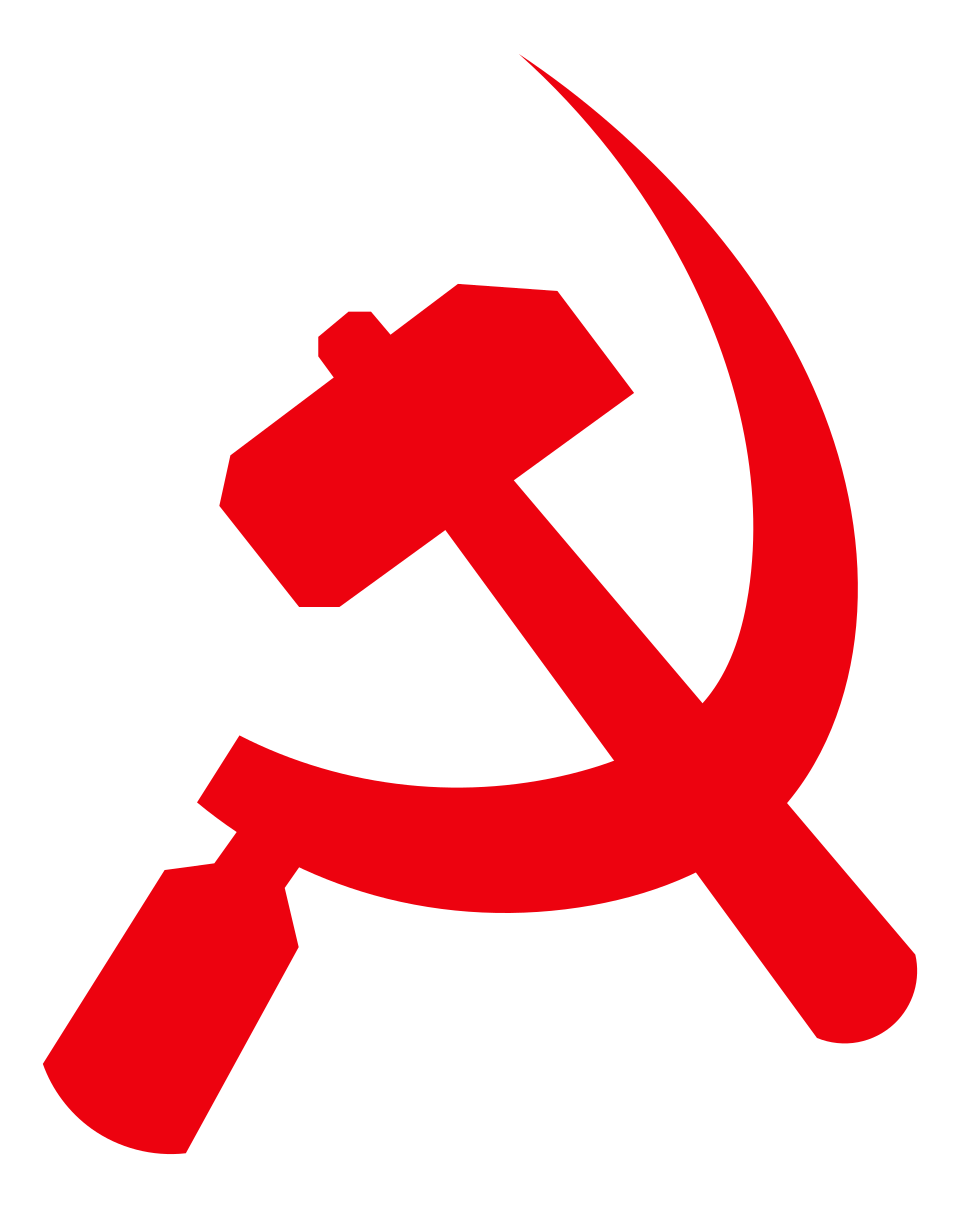 Muhammad Mujahidul Islam Selim