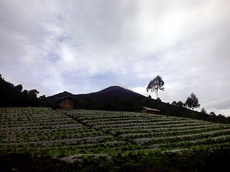 Mukti Agung Wibowo