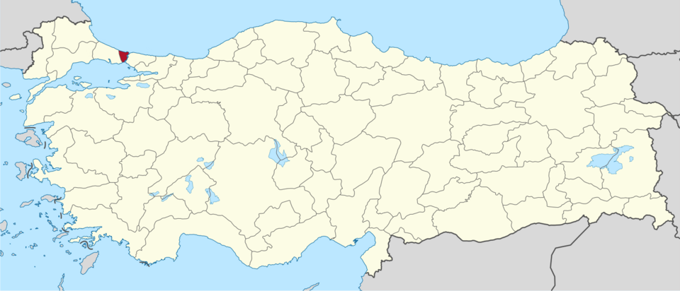 Muzaffer Düzenli