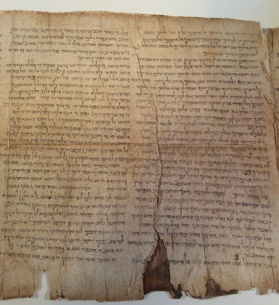 Na'ama Segal