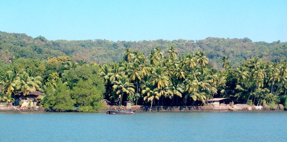 Naeem De Souza