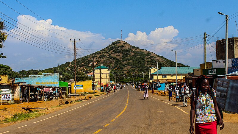 Nanjinia Wamuswa