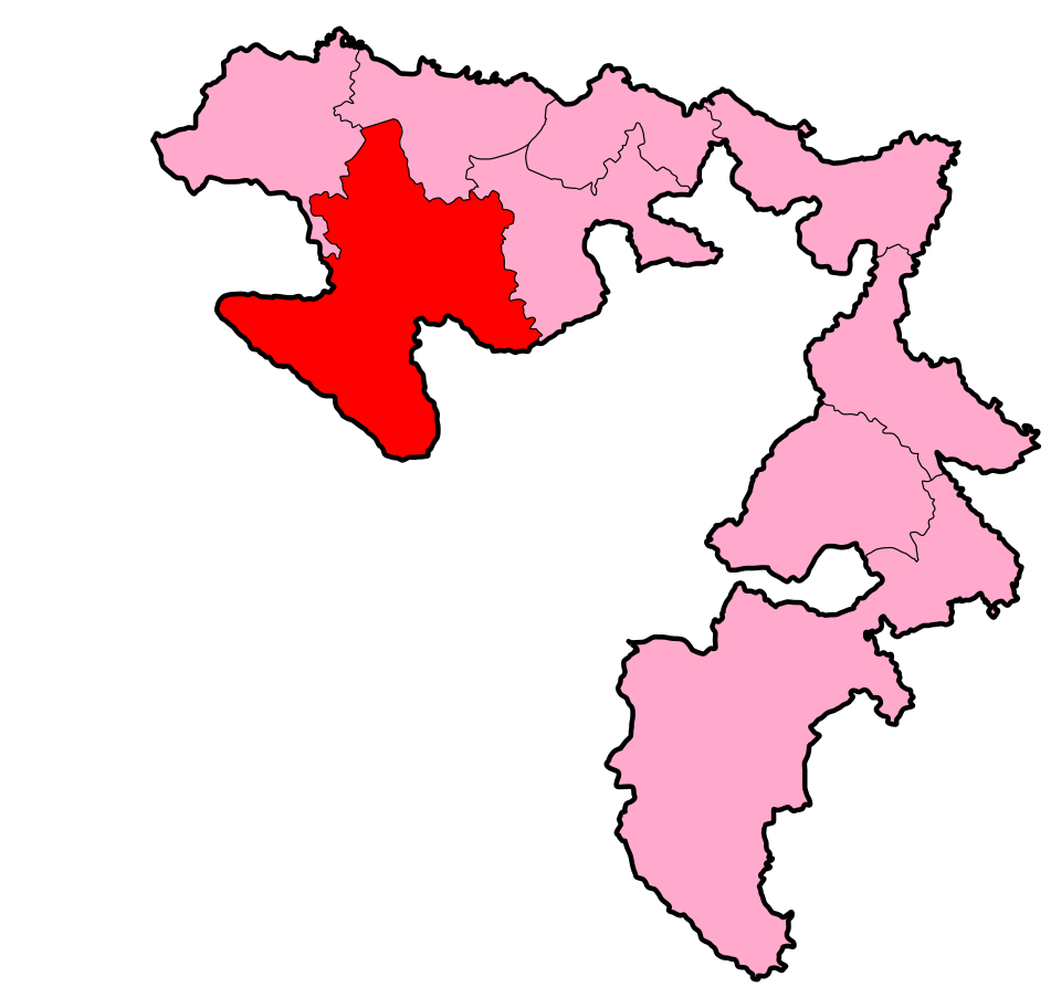 Nebojša Drinić