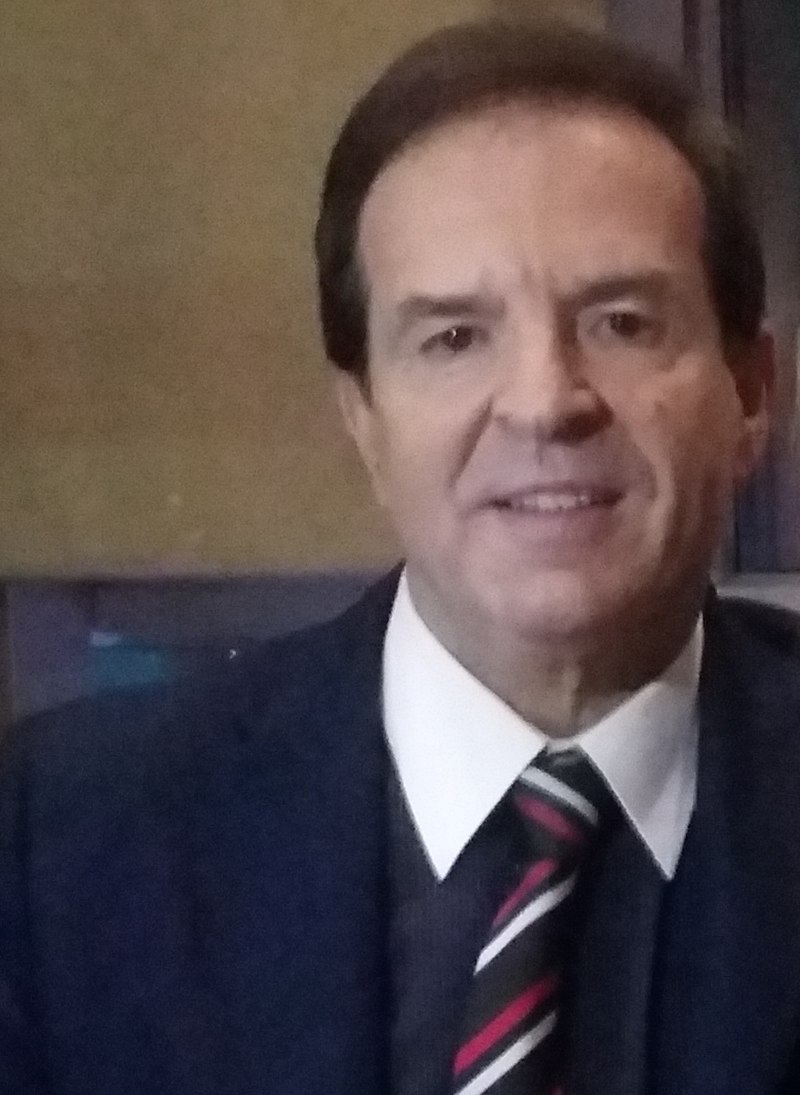 Nebojša Karić