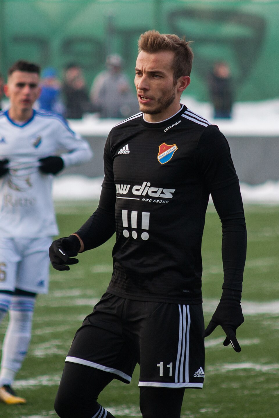 Nemanja Ž.