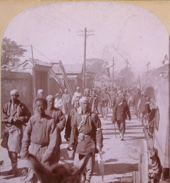 Newton Mwanga