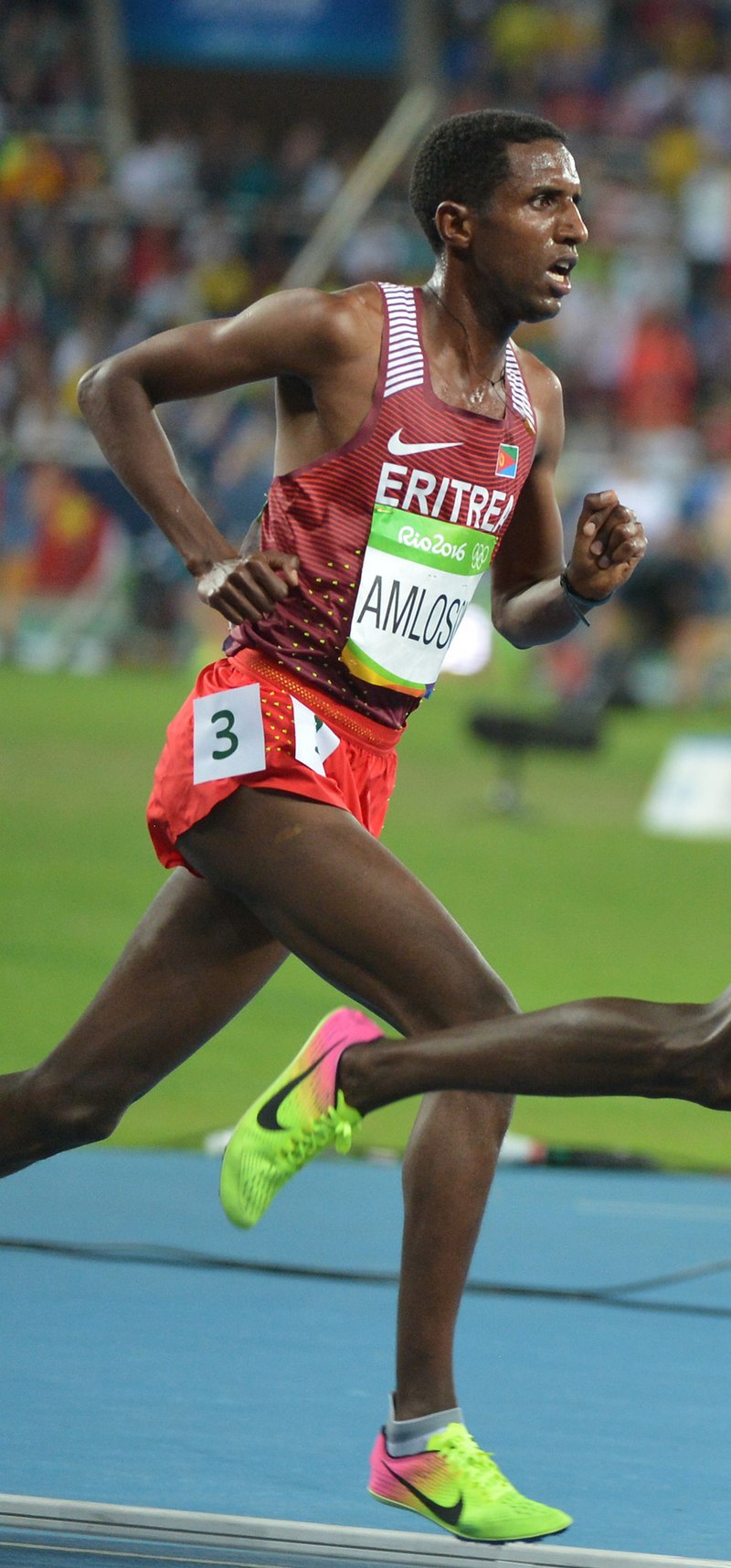 Nguse Amlosoms