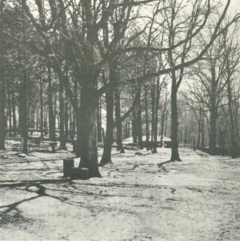 Nicholas F. Bellantoni