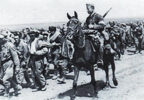 Nicolae Șova