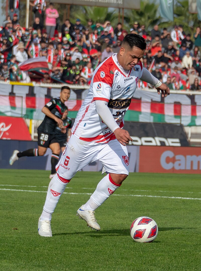 Nicolás Vargas