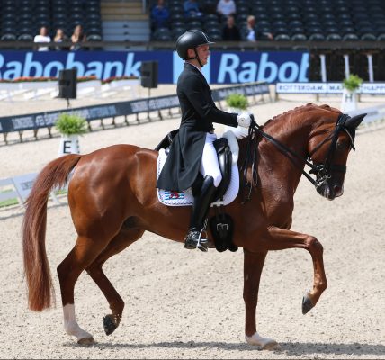 Nicolas Wagner-Ehlinger