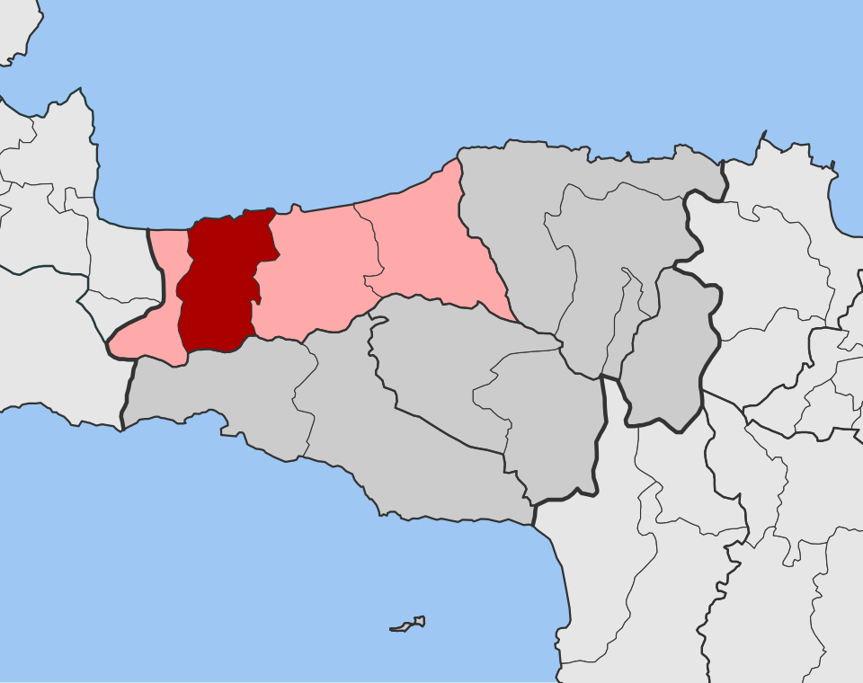 Nikiforos Fokas