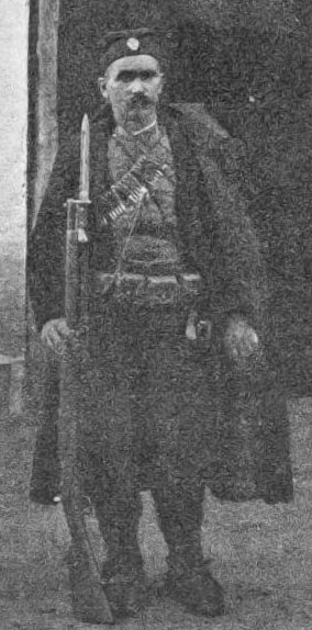 Nikola Kačarević