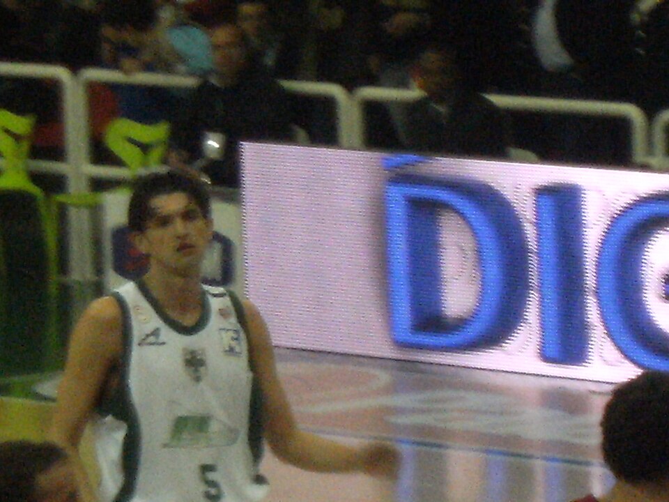 Nikola Radulovic
