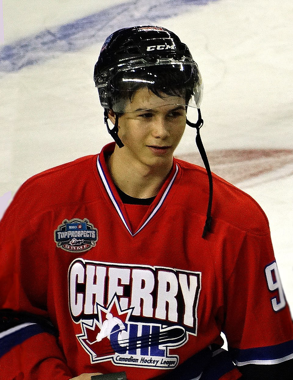 Nikolai Goldobin
