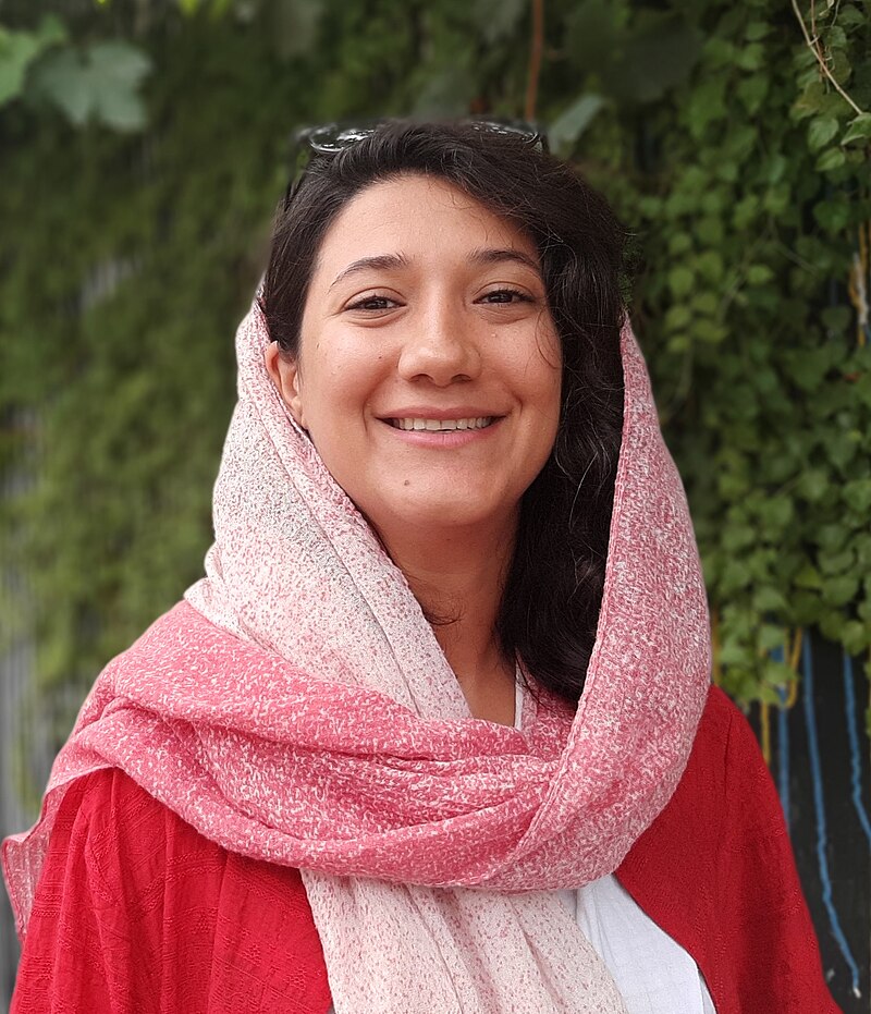 Niloufar Hamedi