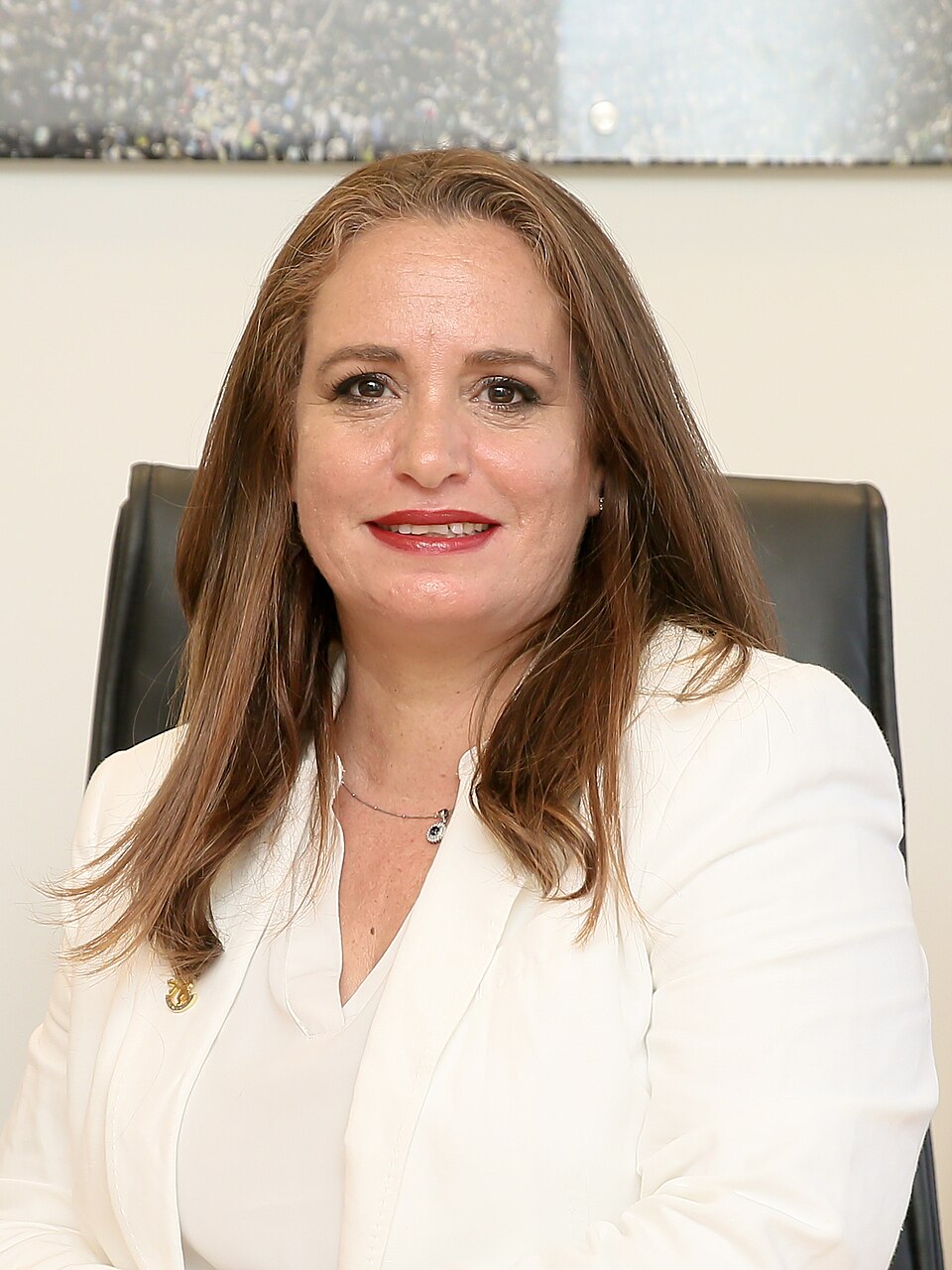 Nir Hoffman