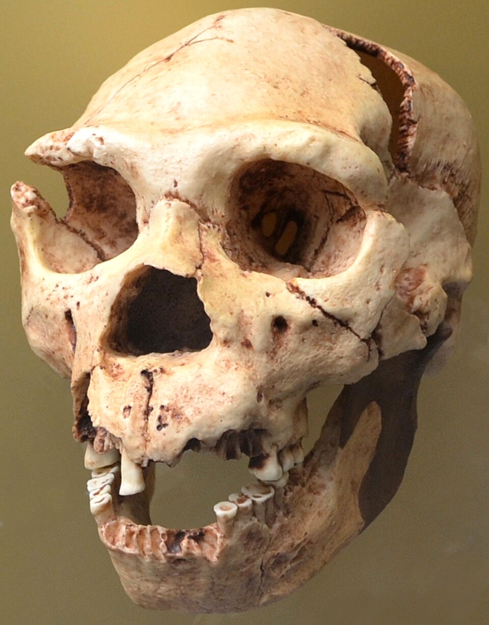 Nohemí Pérez