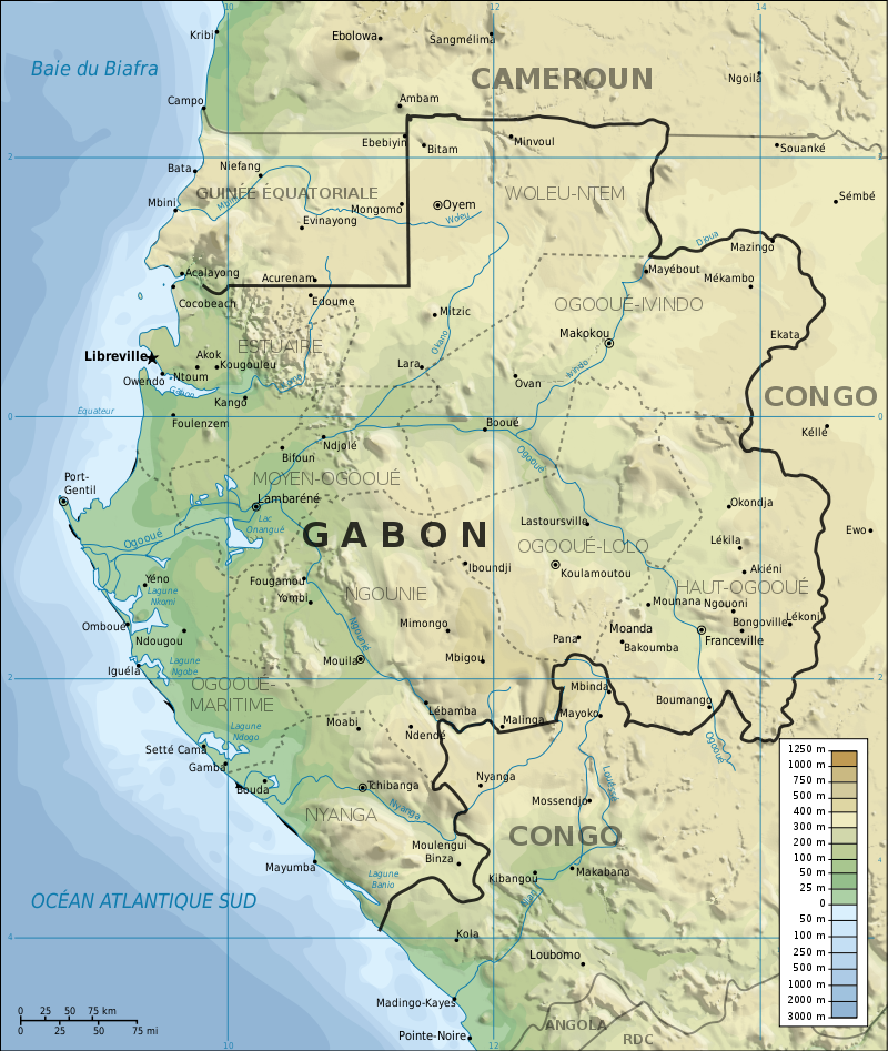 Nouredin Bongo