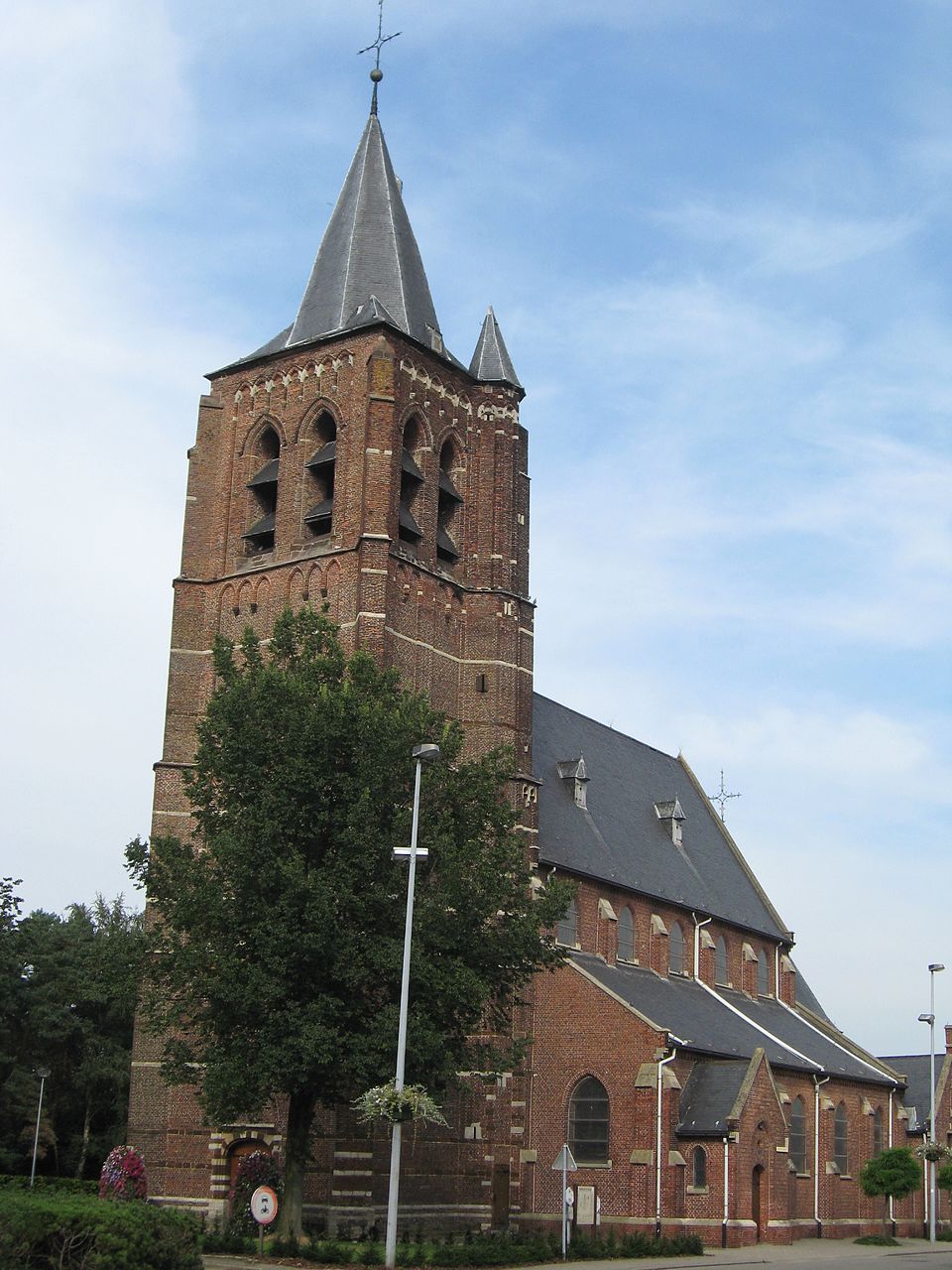 Olmen