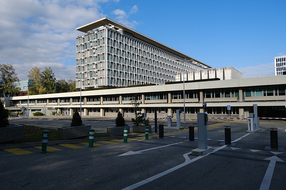 Organization Mundial de la Salud