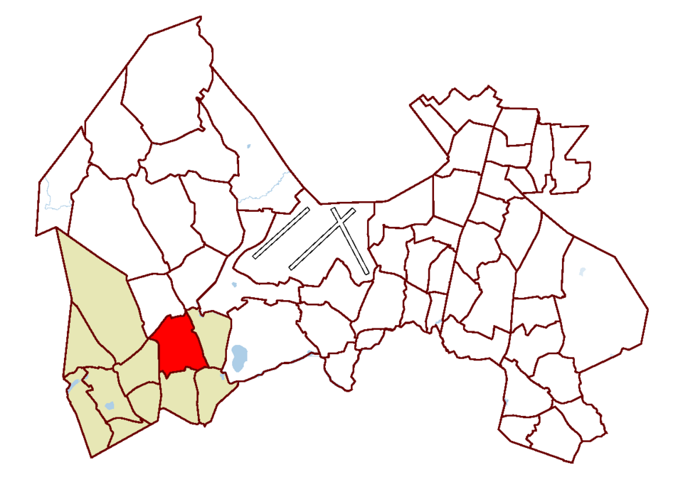 Ostari