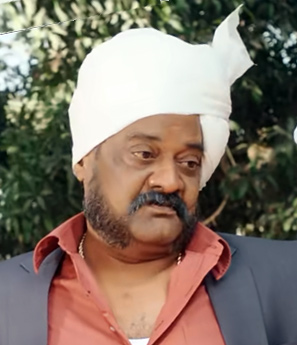 P Ravi Shankar