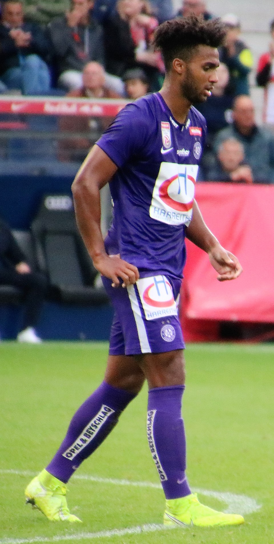 Palmer-Brown