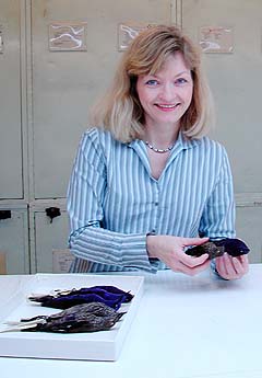 Pamela Rasmussen