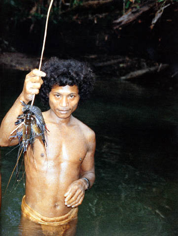 Panca Syurkani