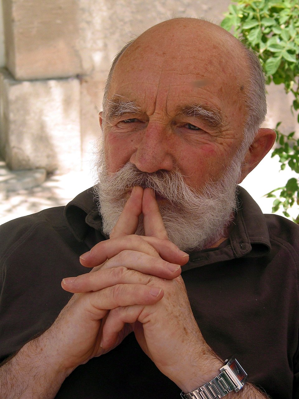 Parmegiani