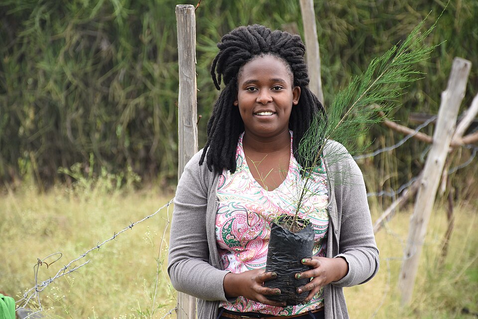 Patricia Kombo