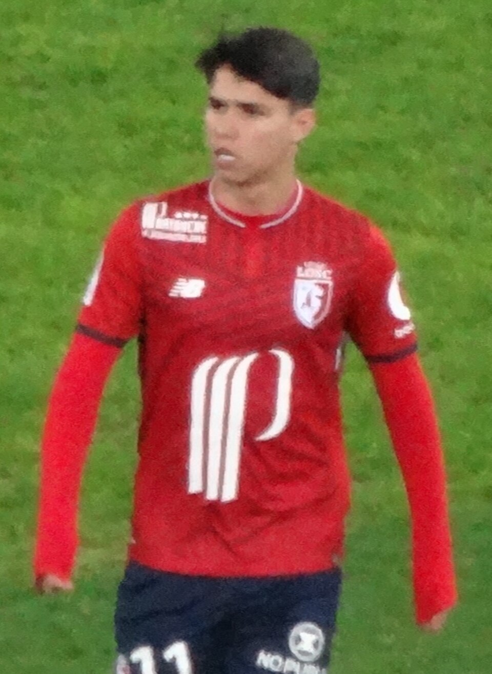 Paulo Araújo
