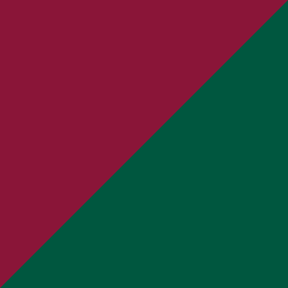 Paulo Jamine