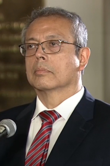 Pedro Miguel Angulo Arana
