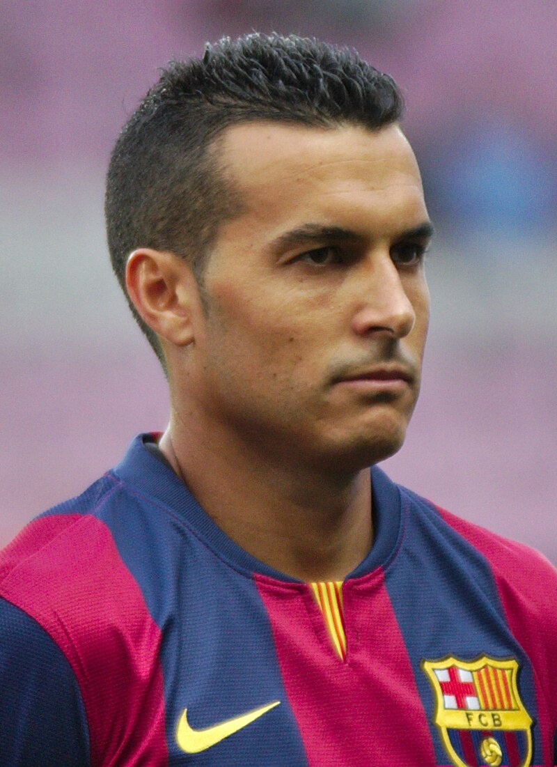 Pedro Villa