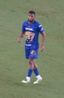 Pedro Vite